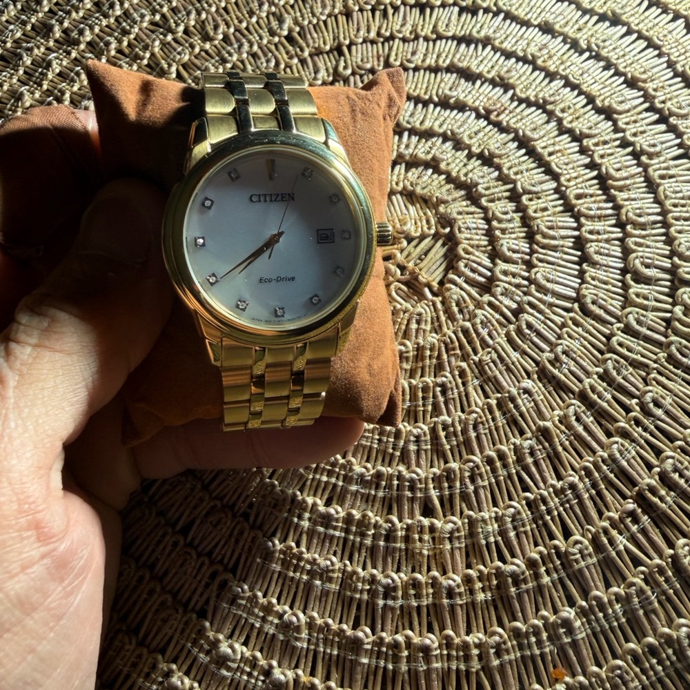 Citizen Gold Eco-Drive Men's Watch